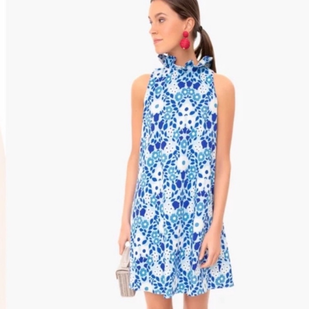 Tuckernuck Blue and White Sleeveless A-Line Dress